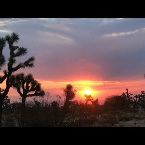 Meet your Posher, Yadi